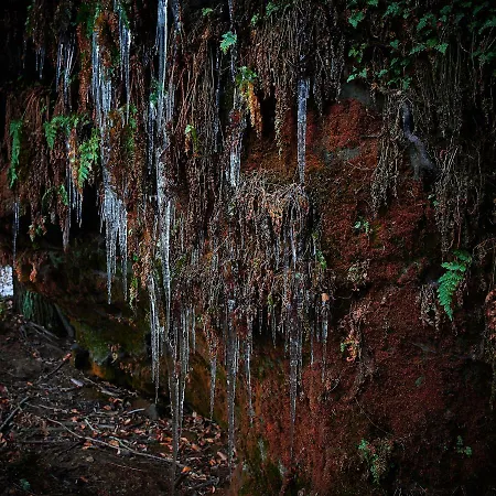 U Kosti - Bohemian Switzerland Daire Decin