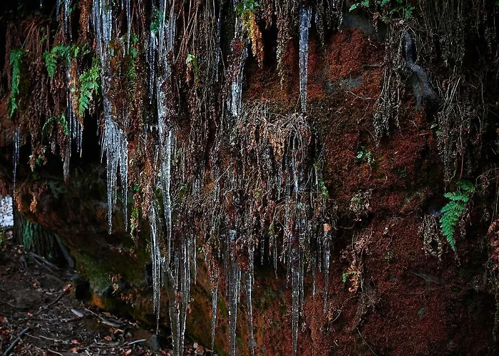 U Kosti - Bohemian Switzerland Апартаменты Дечин